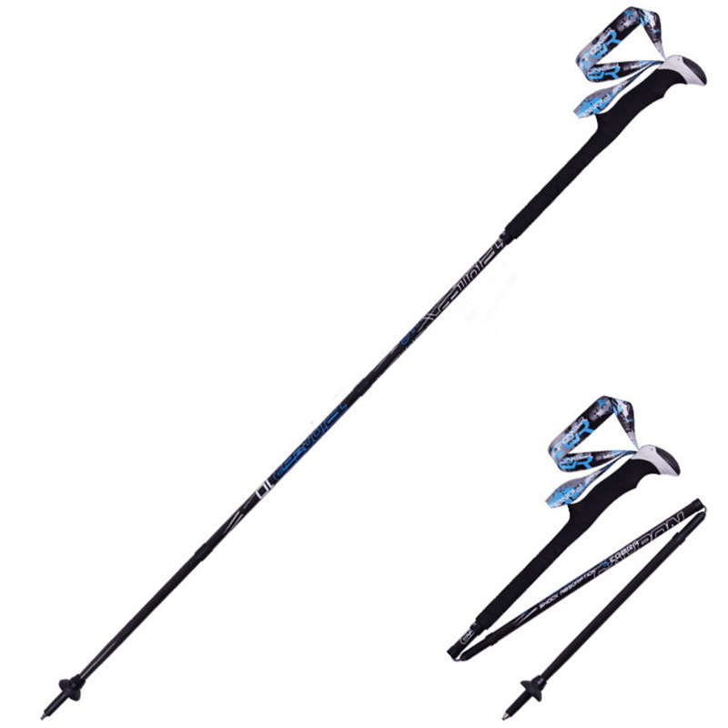 Bastoncini da trekking pieghev - Trekking Pole Carbon recensione e prezzo